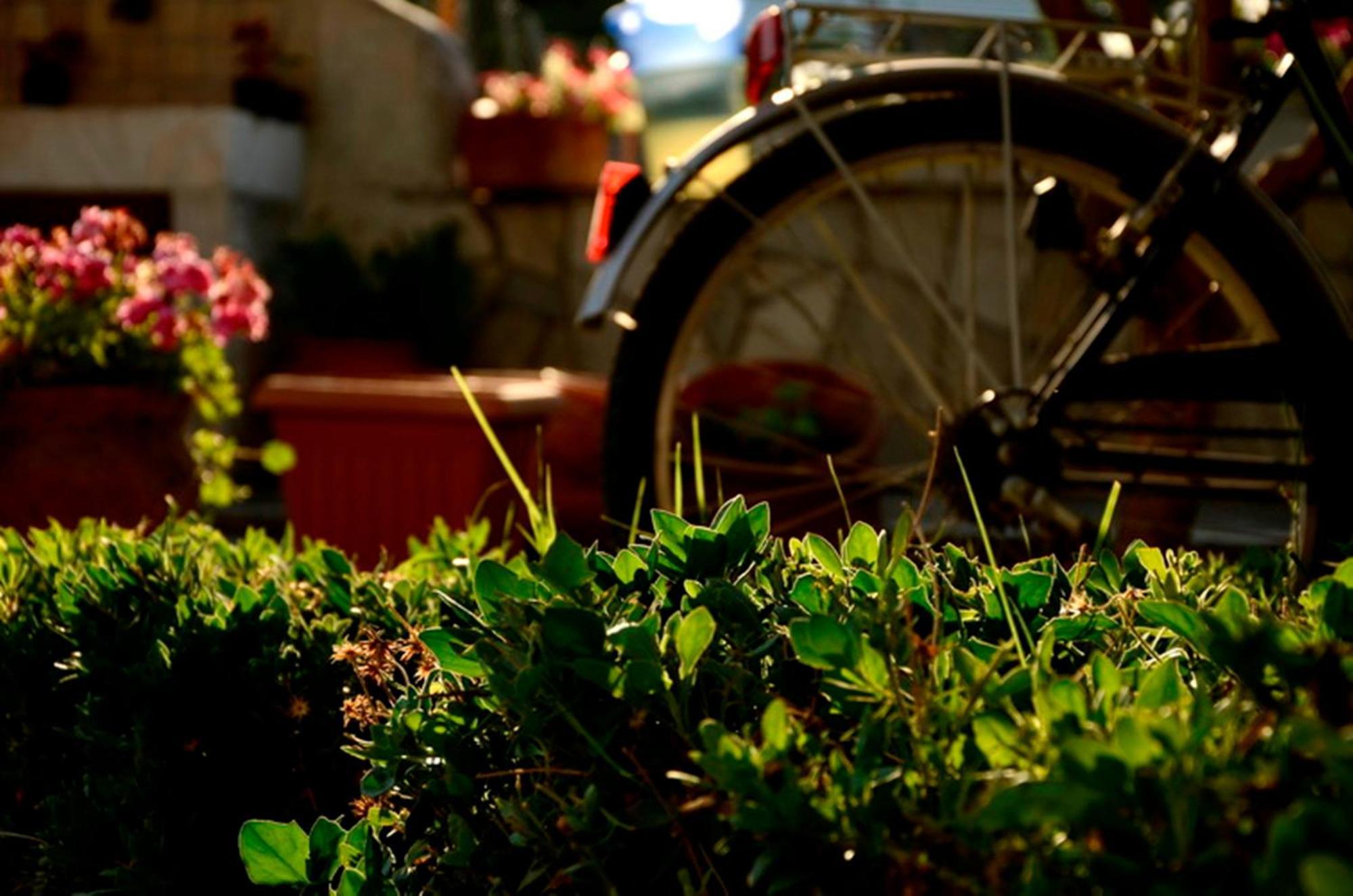 Garden House Leilighet Velika  Eksteriør bilde